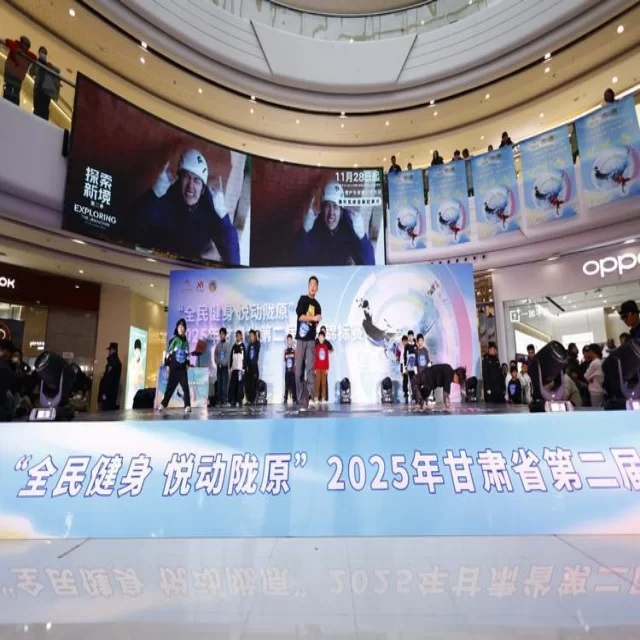 足球杯赛焦点对决：第398组阵容深度解析